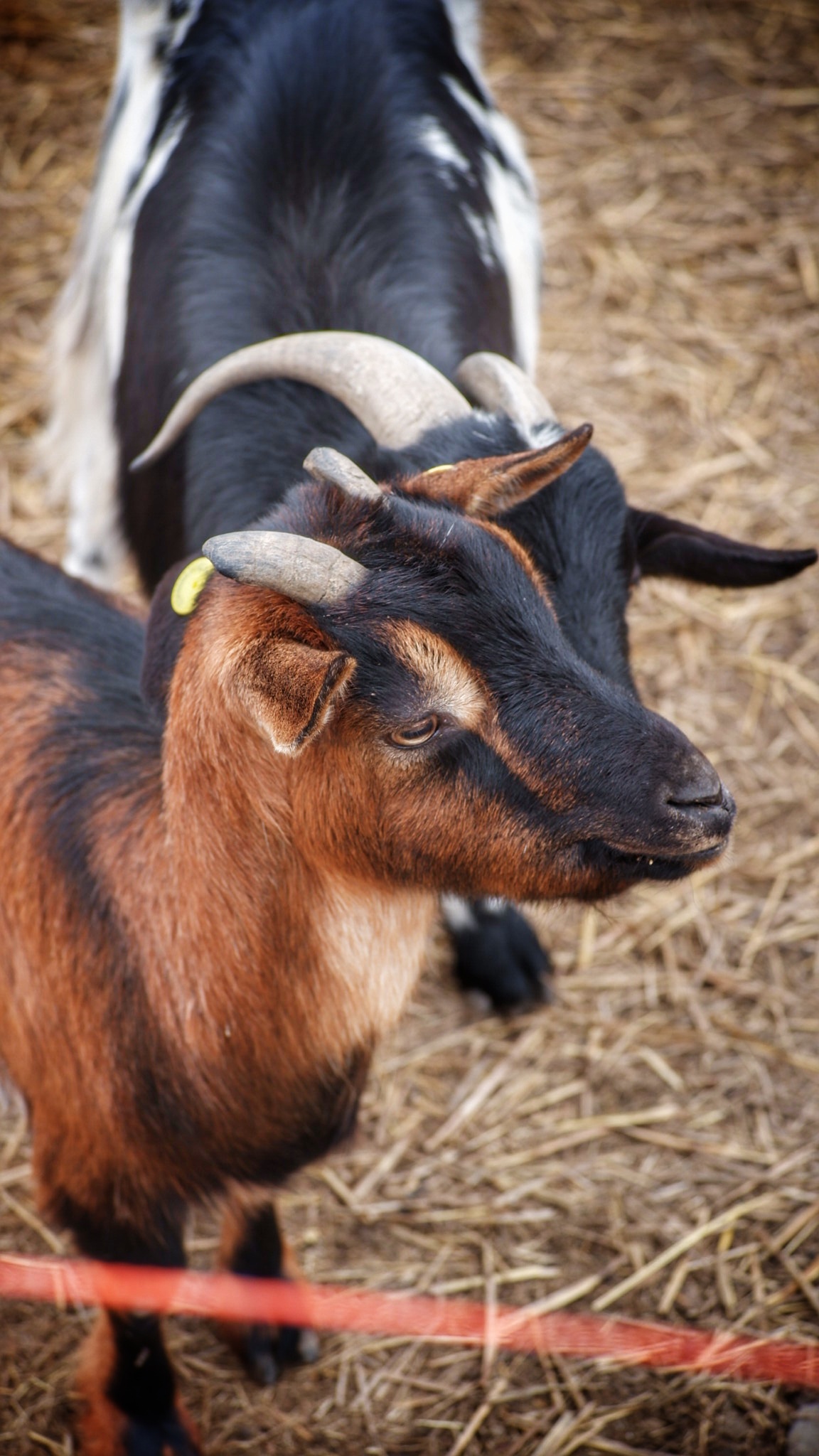 2024_0201_15335300 01.jpeg