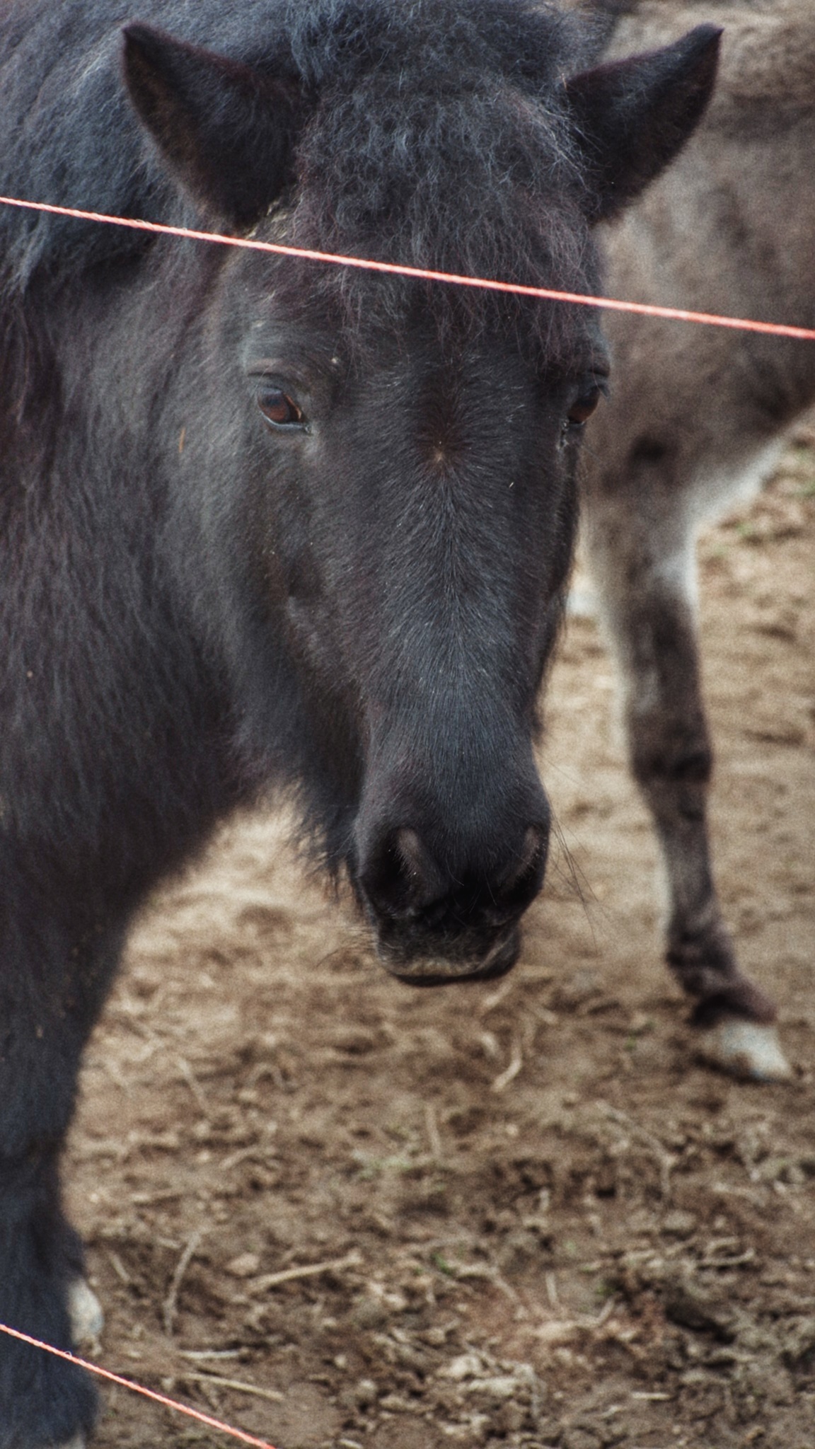 2024_0201_15345800 01.jpeg