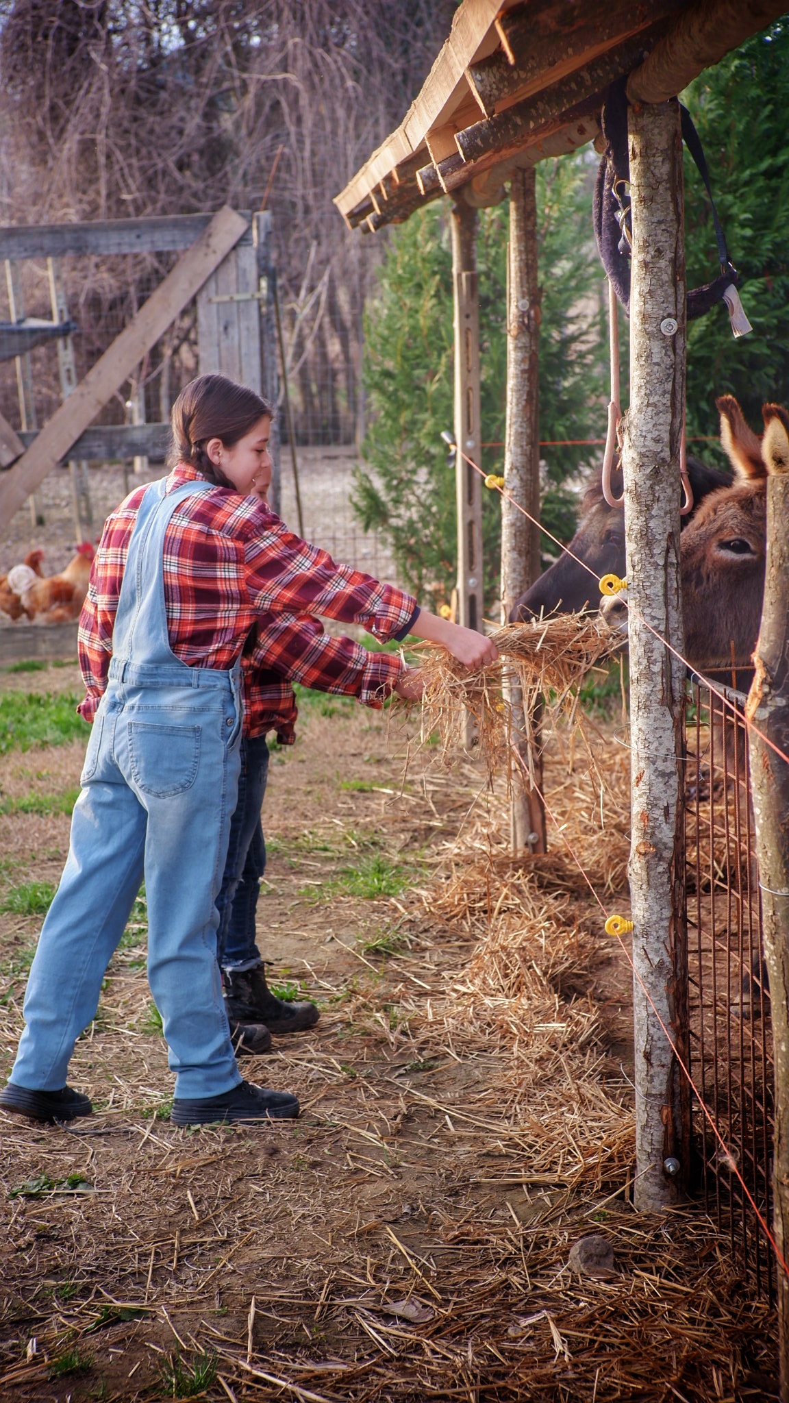 2024_0216_16451400 01.jpeg